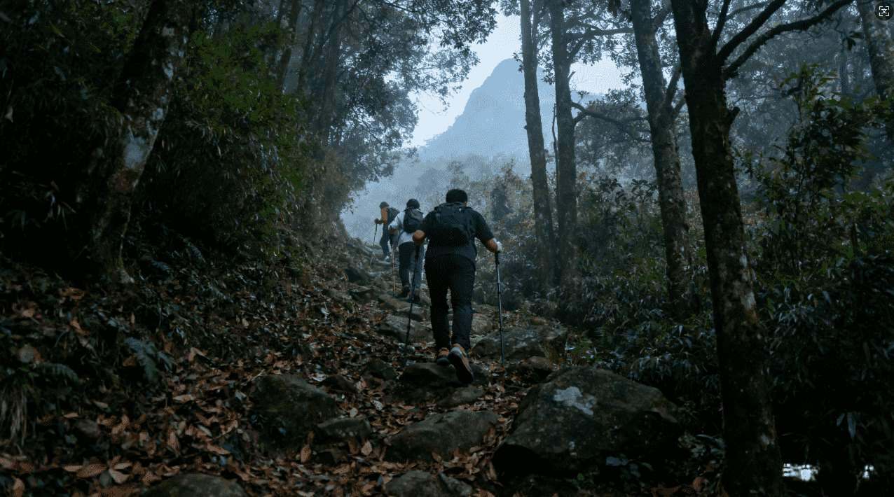 高速稳定的iOS免费梯子加速器下载指南